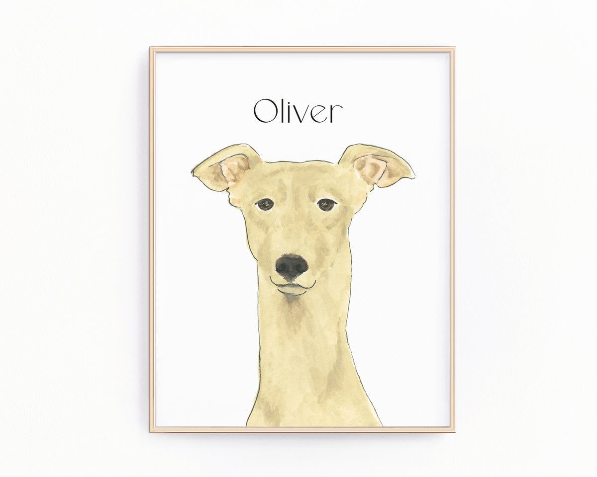 Personalized Greyhound (Fawn) Fine Art Prints